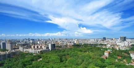 2020年廣東建成首個(gè)國家森林城市群