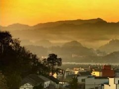 雅安市藏茶產(chǎn)業(yè)現(xiàn)代農(nóng)業(yè)園區(qū)以社會化服務(wù)促園區(qū)煥發(fā)新活力