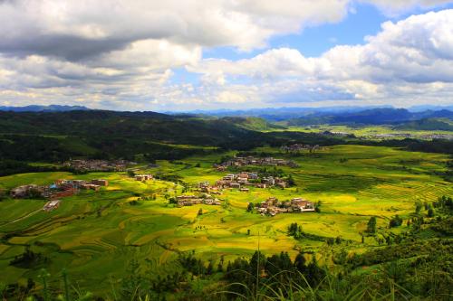 瀏陽(yáng)市省級(jí)農(nóng)業(yè)科技園區(qū)機(jī)關(guān)黨支部結(jié)合主題黨日開(kāi)展 “黨員人人講黨課”活