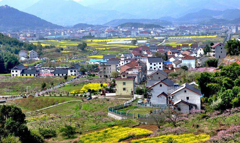 陳文勝：鄉(xiāng)村振興的資本、土地與制度邏輯