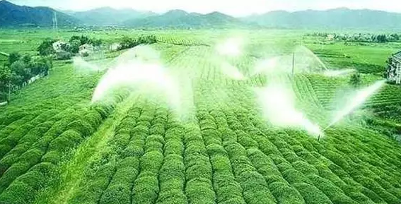 重磅！2019中央一號(hào)文件即將發(fā)布！大農(nóng)業(yè)領(lǐng)域迎來(lái)新機(jī)遇